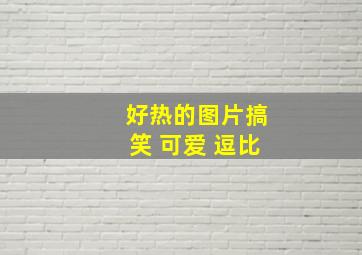 好热的图片搞笑 可爱 逗比